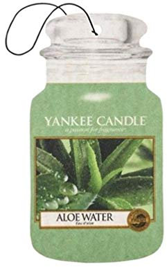 Yankee Candle Aloe Water Car & Home Air Freshener, Wax, 1 x 1 cm