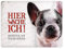 Metallschild mit Französische Bulldogge Motiv und Spruch: Betreten auf eigene Gefahr - Hier wache ich!