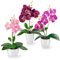 PASCH ® fiori artificiali in vaso (35 cm) set di 3 orchidee, disposizione artificialmente coordinata in vasi di ceramica lucidi, fiori decorativi orchidee artificiali (viola-rosa)
