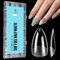 TOMICCA 504 Pièces Capsule Americaine Ongle Amande Moyen, 12 Tailles Clair Mat Faux Ongles, Avec Valise De Rangement, Acrylique Pose Americaine Capsule pour Les Extensions Bricolage Et Diy Nail Art