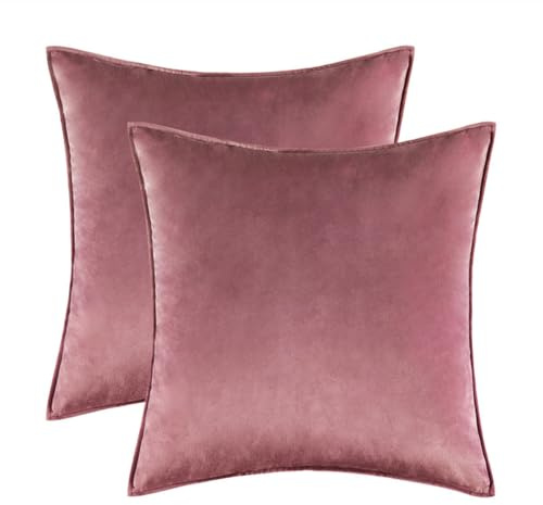 Blausky 1 Stück Samt Kissenbezug,Kissenhülle Kissenbezüge Dekokissenbezug mit Verstecktem Reißverschluss,Dekokissen Kissenhüllen Sofakissen für Sofa Wohnzimmer Schlafzimmer,Altrosa,45x45cm