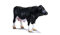 SCHLEICH 13143 Bulle Schwarzbunt