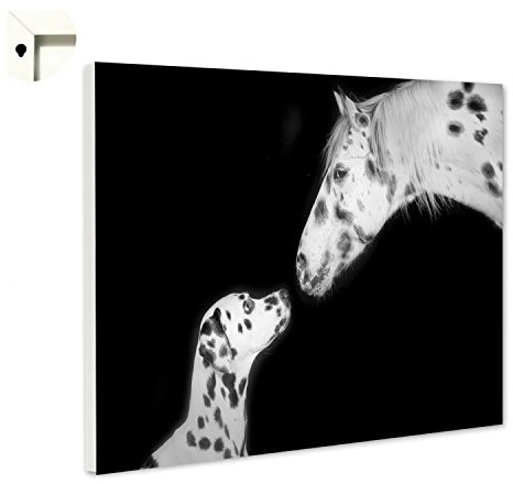 Magnettafel Pinnwand Memoboard Tiere Pferd Hund Dalmantiner Größe 100 x 80 cm