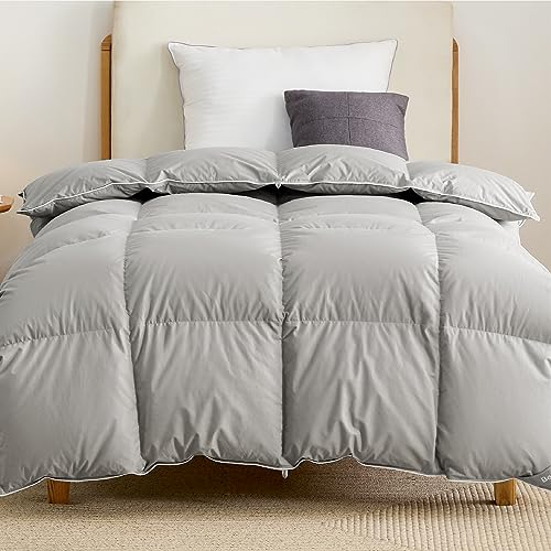 BEDSURE Daunendecke 155x220 Daunen Bettdecke - Warm Winterdecke 90% Daunen und 10% Federn 1080 gr. Füllung, Federbettdecke with Öko-Tex Zertifikat, Waschbar Steppdecke Grau