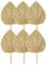 Yssevlon 6PCS Dried Palm Leaves Natural Dried Palm Fans,Large Palm Spear for Boho Wedding Decor,Tropical Palm Leaves Decoration Easy to Use S