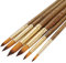 Silithus Paint Brushes 6 Pieces Set, Professional Fine Tip Paint Brush Set Round Pointed Tip Nylon Hair artist acrylic brush for Acrylic Watercolor Oil Painting (Round)