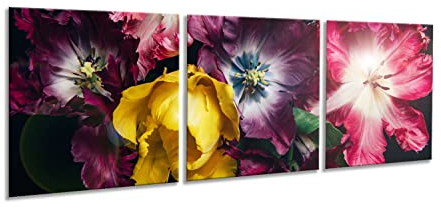 artissimo, Glasbild mehrteilig XXL, 3-teilig ca.150x50cm, AG5286A, Bild aus Glas, 3-Teiler, Wanddekoration Wohnzimmer modern, Blumen auf schwarzem Hintergrund