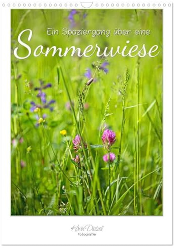 Ein Spaziergang über eine Sommerwiese (Wandkalender 2026 DIN A3 hoch), CALVENDO Monatskalender: Sommerwiesen sind Farbe, Licht, Leben (CALVENDO Natur)