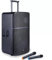 SOUNDSATION PROVIBE 12AIR cassa amplificata a batteria 800W picco 12 pollici