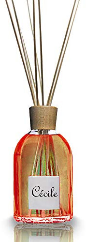 MIRAFLORES ORIGINAL Raumduft-Diffusor für Orange- und Zimt, 100 ml - mit 9 Bambusstäben - Intensiv und Duraturo - Duft für Haus - Kleine und die große Ambiente