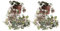 2 x String of Heart - Ceropegia Woodii Trailing Evergreen Indoor Succulent Plants - in 8cm Pot