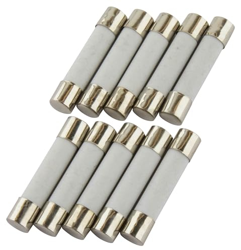 SeKi - Lote de 10 fusibles cerámicos (12 A, 6 x 30 mm, lento), 250 V