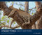 Starke Typen 2023 - Bild-Kalender - Poster-Kalender - 60x50: Wildlife Photography