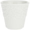 PORCELLANA CC75 Momenti Tasse sans Anse, Porcelaine, Multicolore, 0,1 x 0,1 x 0,1 cm