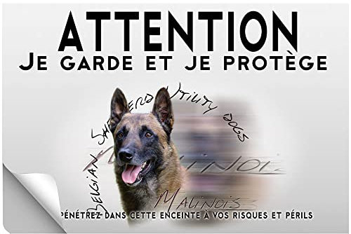Stick Attention au chien malinois de ring