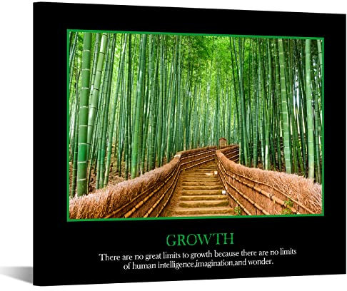 Kreative Arts Motivational Selbst positiven Büro Zitate Inspirierende Erfolg Teamwork Poster Kunstdruck auf Leinwand Art Wand für Wände Dekoration 50,8 x 61 cm (Erfolg) Art Deco 20x24inch Growth