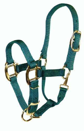 Hamilton verstellbar Qualität 3/4-Zoll Weanling Halfter mit Snap, 200 bis 300-pound Pferd, dunkelgrün
