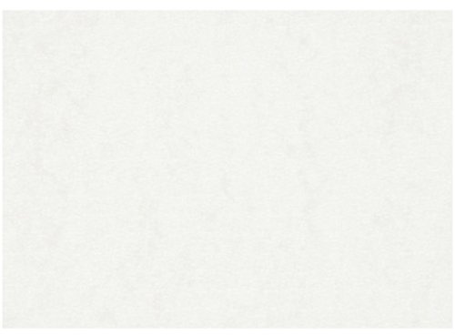 Aquarellpapier A2 42x60cm 200cm 100 Blatt