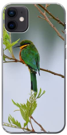 MuchoWow Funda para iPhone 12 Mini - Abejaruco Enano en la Rama de un árbol con Agua al Fondo - Funda de Silicona/Funda Blanda para teléfono móvil