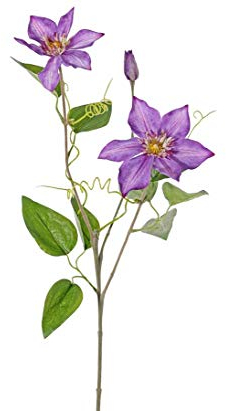 kunstpflanzen-discount.com Künstliche Waldreben Clematis 76cm hoch lila mit 2 Blüten und 1 Knospe - Klematisrebe Hahnenfußrebe Kunstblume