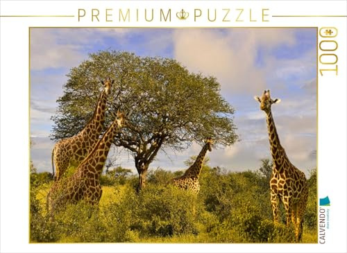 CALVENDO Puzzle Giraffenherde an einem Baum | 1000 Teile Lege-Größe 64 x 48 cm Foto-Puzzle für glückliche Stunden