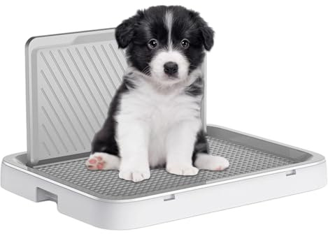 Hundetrainings Toilette, Hundetöpfchen-tablett, Hund Toilette Für Innenbereich Mit Wandsäule, Für Klein Mittelgroße Hunde
