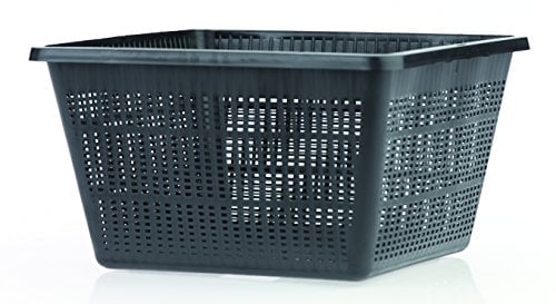 Oase 52633 Cestello per Piante Quadrangolare, Nero