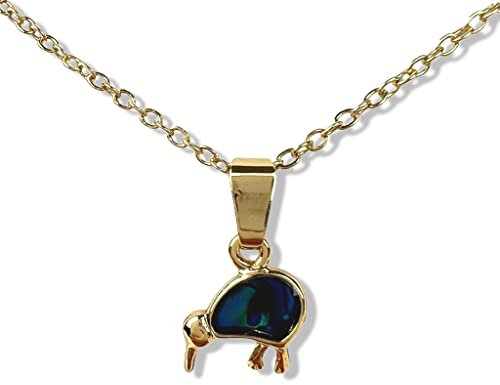 Paua/Abalone Muschel Kiwi Kettenanhänger Kette aus Neuseeland - Gold/Blau