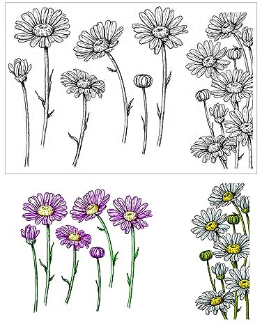 arriettycraft Daisy Flowers Clear Stamps for Card Making or Journaling, Floral Rubber Stamps Floral Background Silicone Stamps for Crafts Scrapbooking Albums Decoration