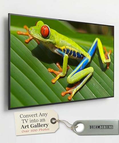 Dreamscreens Television Photo Screensaver - TV Art - Dream Nature | Transform your TV screen into an engaging photo gallery of stunning natural world photos in brilliant 4K resolution | TV Art