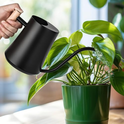 XTDMJ 1000ml Schwarz Gießkanne Klein Zimmerpflanzen, Mini Gießkanne, Edelstahl Langer Auslauf Giesskanne, Garten Gießkanne für Zimmerpflanzen Sukkulenten