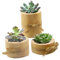 DONFAMDS 3piezas Soporte De Velas De Madera De Pino Decoración Creativa para Hogar Moderno Macetas Mini para Suculentas para Comedor y Salón