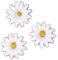 Rayher Wachsmotiv Margeriten, 2,5 cm, 6 Stück, Wachs zum Kerzen verzieren, Kerzenwachs zum Verzieren, Verzierwachs Blumen, 3134400