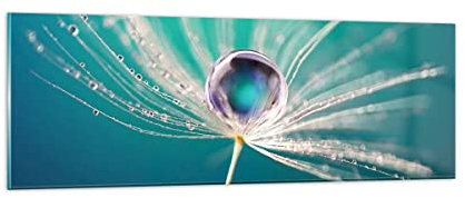 Panorama Bilder auf Glas Pflanze Natur Glasbild 90x30cm Wandbilder Dekoration Wohnzimmer Schlafzimmer Küche Klein Wanddeko Bild im Glas Wand Kunstdruck Art Modern Wall Decor Glasdruck GAB90x30-3991