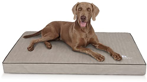 Knuffelwuff orthopädische Hundematte Palomino aus Laser-gestepptem Kunstleder XL 100 x 70cm Grau - rutschfeste Unterboden - leicht zu reinigen - für große, mittelgroße und kleine Hunde