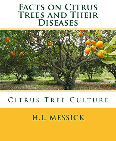 Facts on Citrus Trees and Their Diseases: Citrus Tree Culture