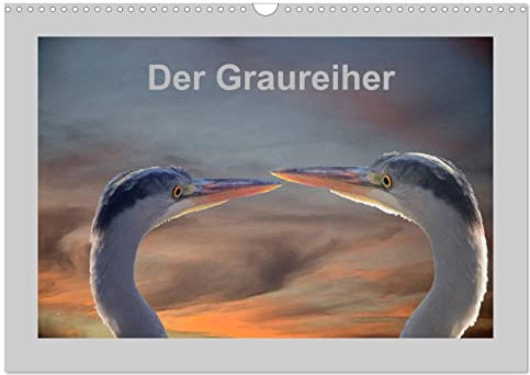Der Graureiher (Wandkalender 2024 DIN A3 quer), CALVENDO Monatskalender: Er ist ein toller Segler und Fischer. Immer sehr aufmerksam und sehr schreckhaft. (CALVENDO Tiere)
