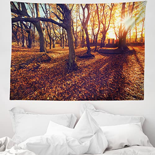 ABAKUHAUS Landschaft Wandteppich, Sonnenuntergang Wald Bäume aus Weiches Mikrofaser Stoff Waschbar ohne Verblassen Digitaldruck, 150 x 110 cm, Gelb Braun