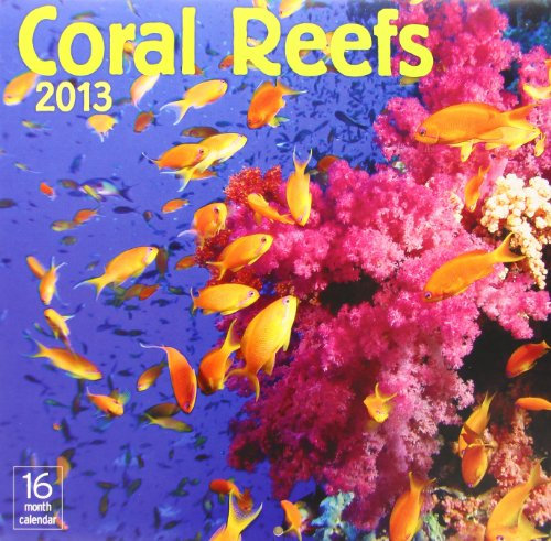 Coral Reefs 2013 Calendar