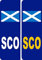 2 x SCO Scotland Flag Euro Number Plate Vinyl Car Stickers by Ellis Graphix