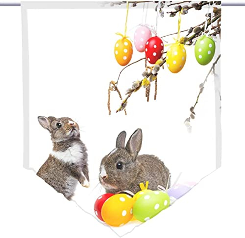gardinen-for-life Scheibenhänger spitz Osterhasen, Voile Transparent, Edler Scheibenhänger aus Feiner Voile in Verschiedenen Größen, Ostermotiv (HxB 75x60cm)
