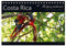 Costa Rica Blickwinkel 2025 (Tischkalender 2025 DIN A5 quer), CALVENDO Monatskalender: Costa Rica - flying bushhawks Blickwinkel Kalender (CALVENDO Orte)