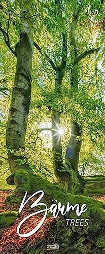 Bäume 2024: Schmaler Wandkalender. Foto-Kunstkalender über prächtige Bäume in der Landschaft. PhotoArt Vertikal. 28,5 x 69 cm.