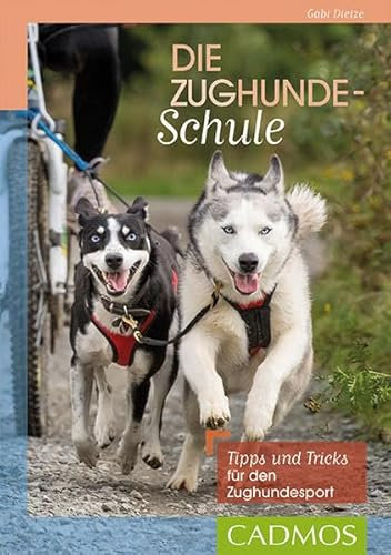 Die Zughundeschule: Tipps und Tricks für den Zughundesport