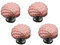 Mikikit 4 Stück Schrankknöpfe Kinder Kommoden Griffe Möbelknöpfe Kinder Schrank Pull Handle Kind Zieht Türgriffe Drehknöpfe Für Kinderküche Griffe Strand Schublade Schranktür