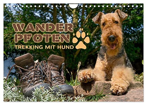 Wanderpfoten. Trekking mit Hund (Wandkalender 2025 DIN A4 quer), CALVENDO Monatskalender