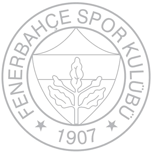 Alternatif Autoaufkleber Fenerbahce Logo Aziz Yildirim Kanarya Istanbul Türkei Türkiye Wandtattoo (Silber, M / 20 cm x 20 cm)