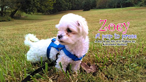 Zoey - A Pup In Prose: A day in the life of a Maltese in haiku (English Edition)