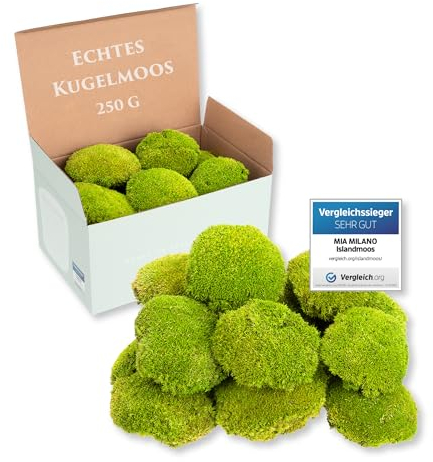 Kugelmoos hellgrün konserviert | 250g Echtes Bollenmoos für Moosbilder | Haltbares Moos zum Basteln | Wetterfestes hellgrünes Islandmoos