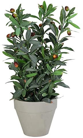 Dehner Kunstpflanze Olivenbaum, ca. 25 x 25 x 51 cm, Topf Ø 9.5-17 cm, Polyester/Metall/Papier, grün/grau